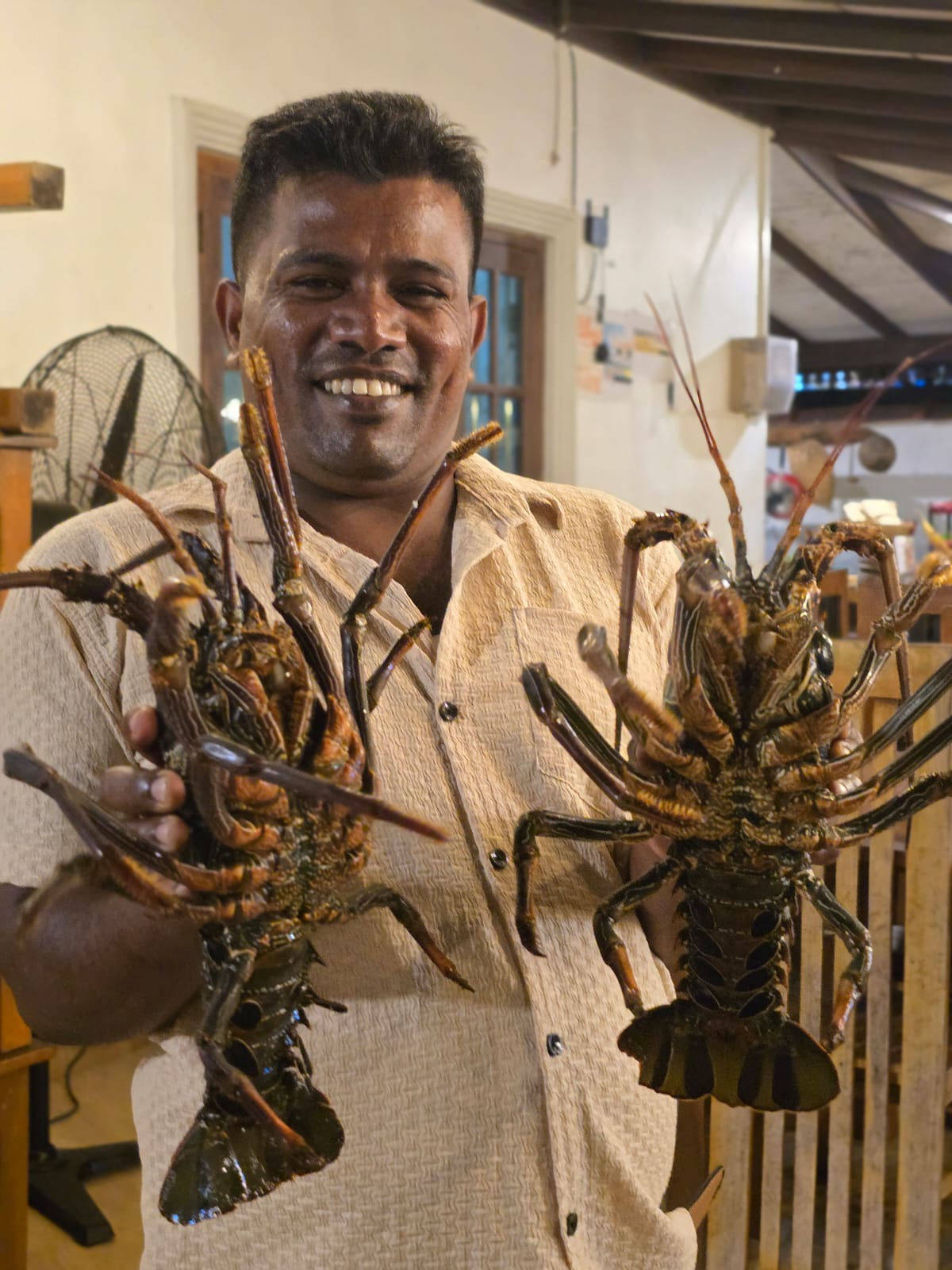 Lobster of the Day